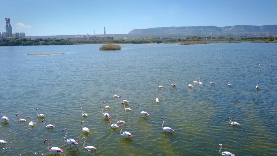 Riserva Naturale Marina di Priolo Atlas Copco