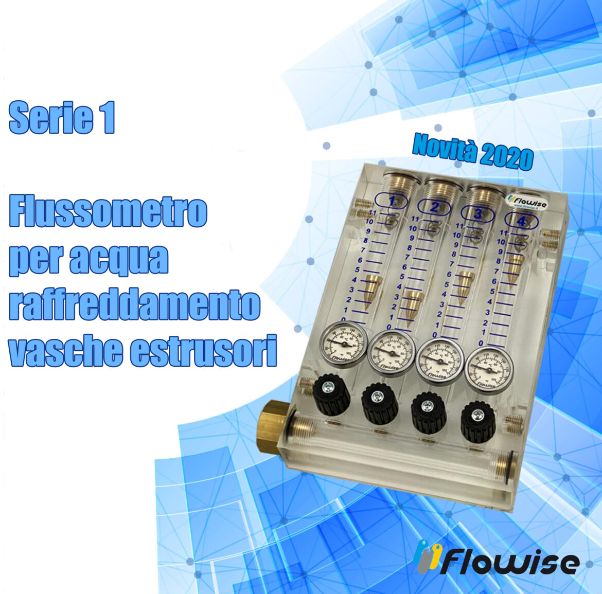 Serie1_Flowise_2020